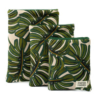 Monstera