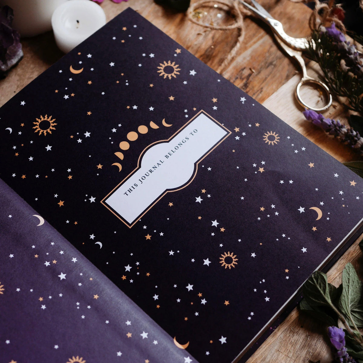 Made of Stars Journal