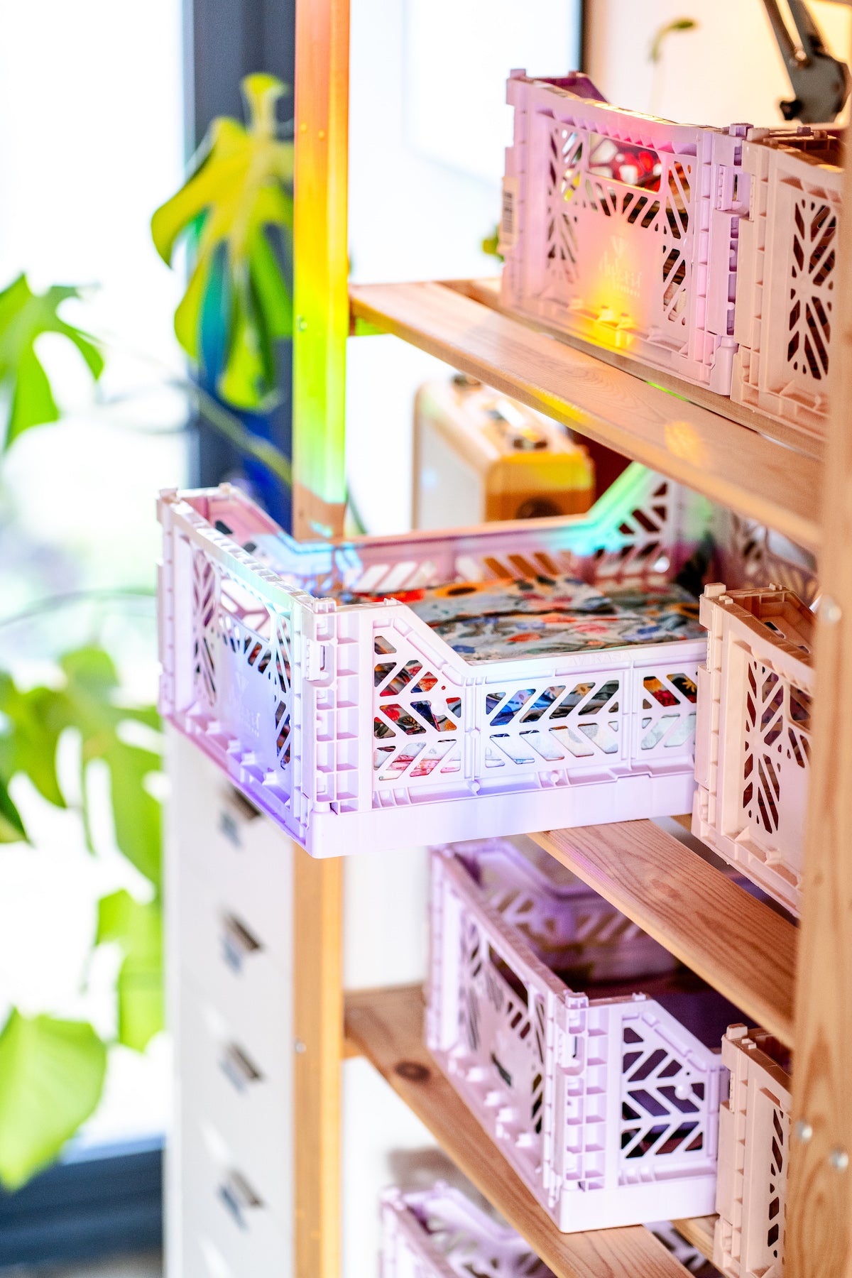 Bee suncatcher sticker