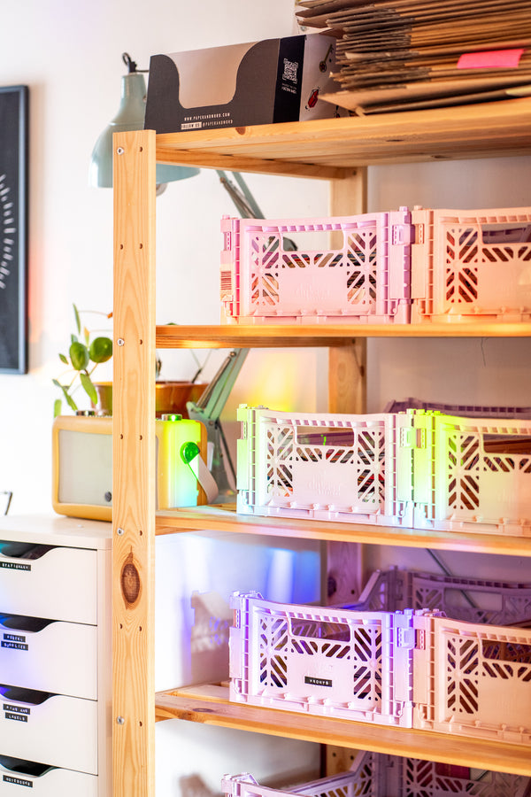 Alocasia leaf suncatcher sticker