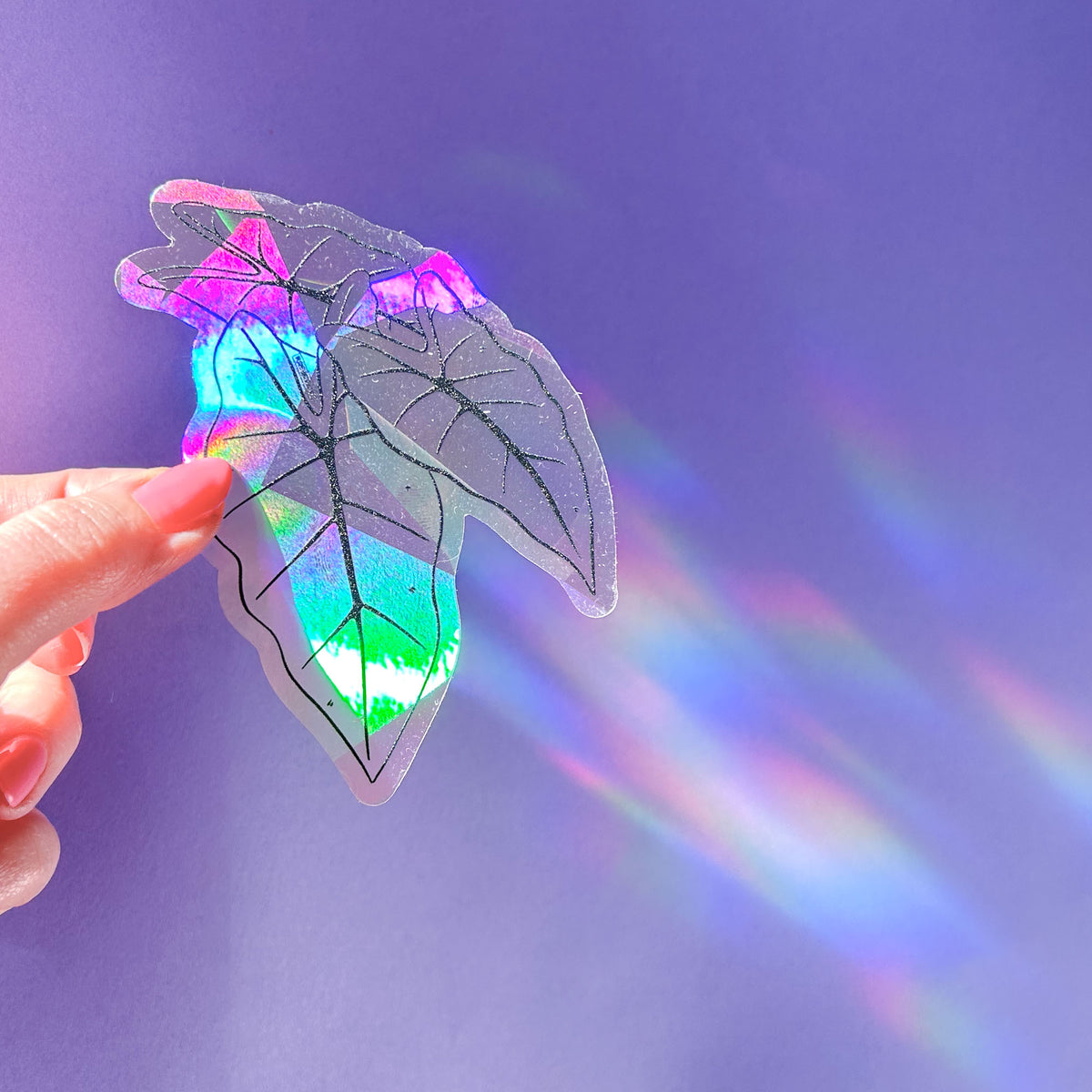 Alocasia leaf suncatcher sticker