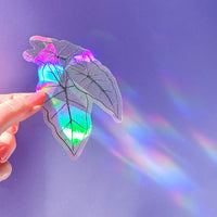 Alocasia leaf suncatcher sticker