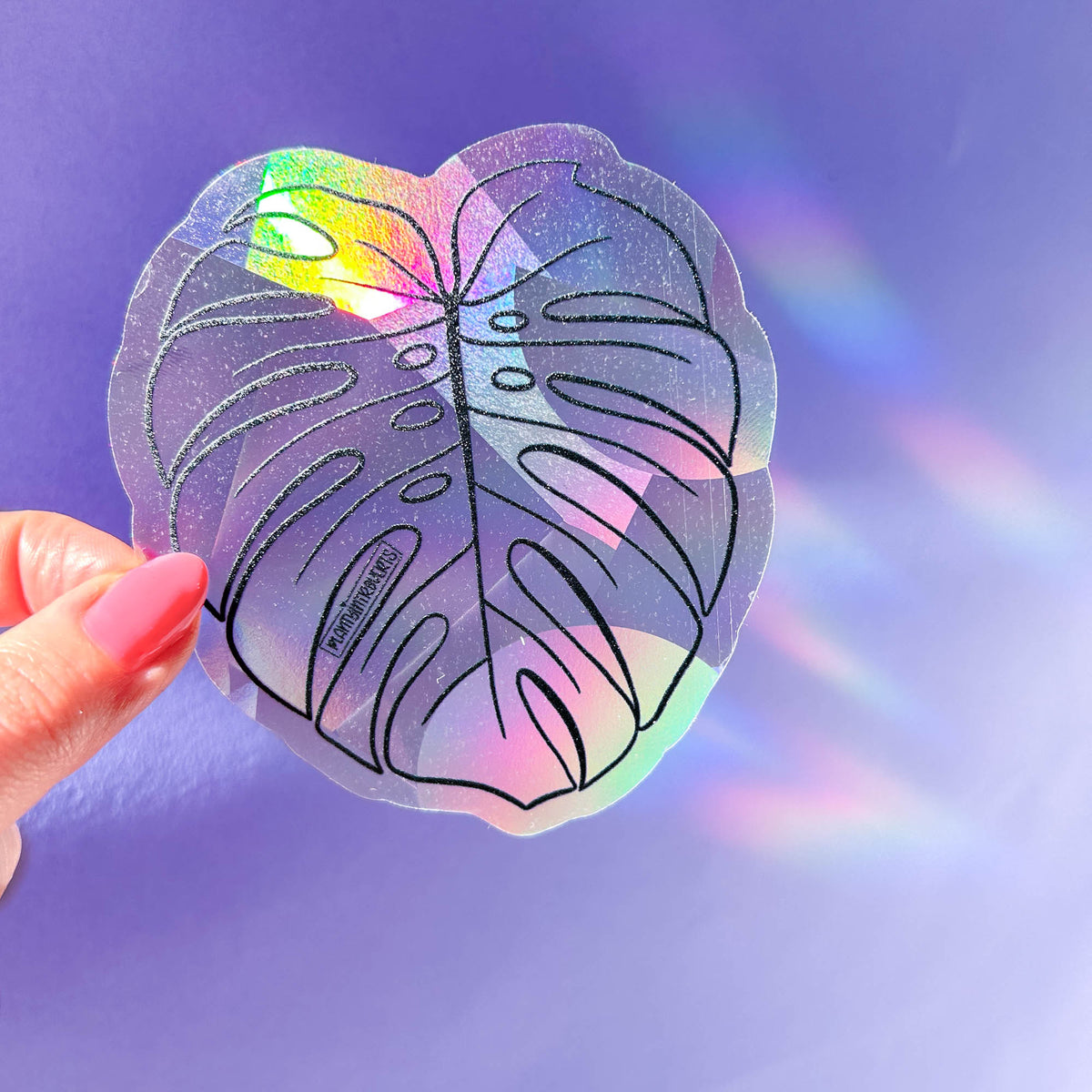 Monstera leaf suncatcher sticker