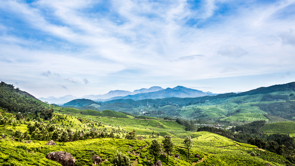 5 WAYS TO TAKE CARE OF OUR PLANET WHILST RUNNING A SMALL BUSINESS: EARTH DAY EDITION
