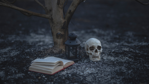 FIVE HORROR BOOKS TO SINK YOUR FANGS INTO THIS HALLOWEEN